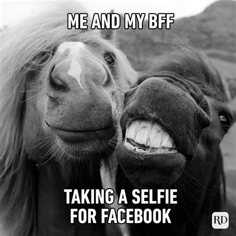 funny friends.